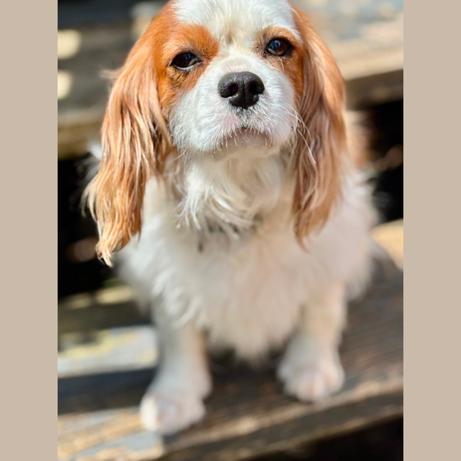 Photo of Isabelle