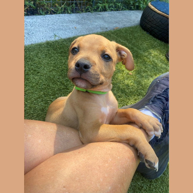 Photo of D1197 William