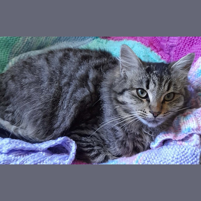 Photo of Etta