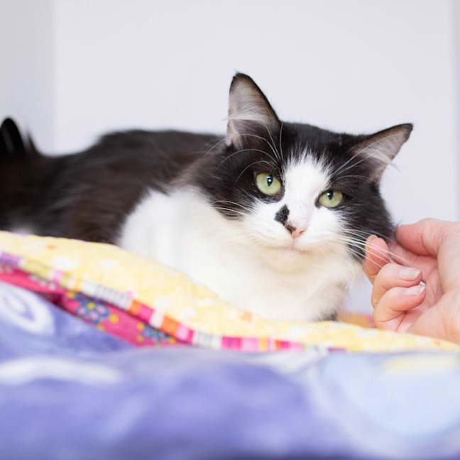 Photo of Matilda