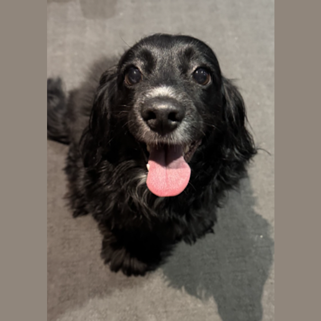 Photo of Maggie