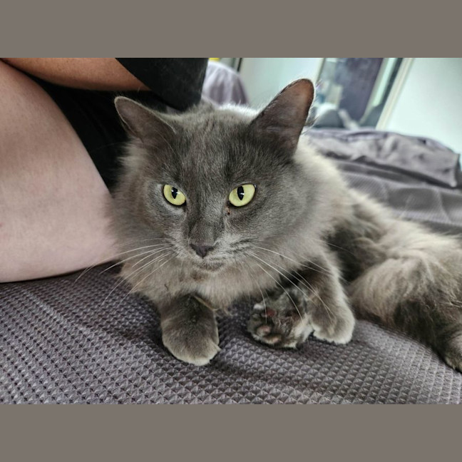 Photo of Lazlo