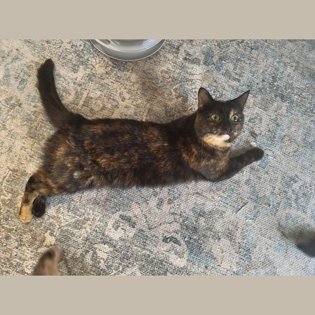 Photo of Hera