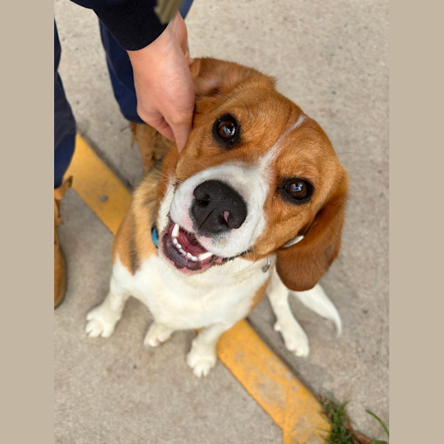 Photo of Buster