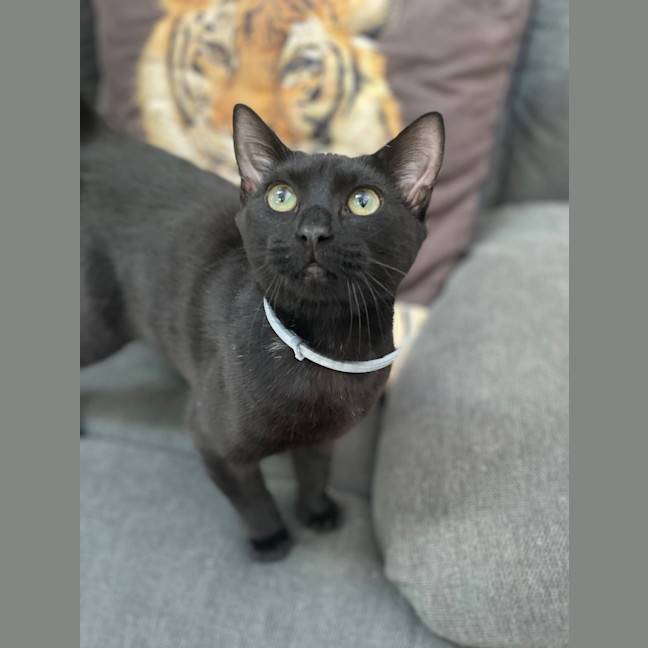 Photo of Roland (0157)