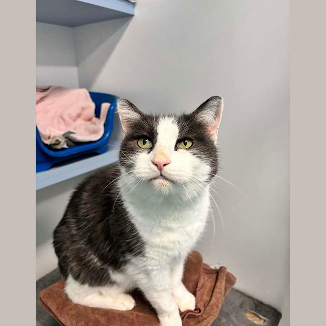 Photo of Mr Whiskers
