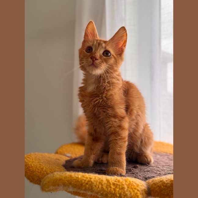 Photo of Zeus