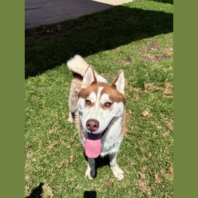 Photo of Jacko