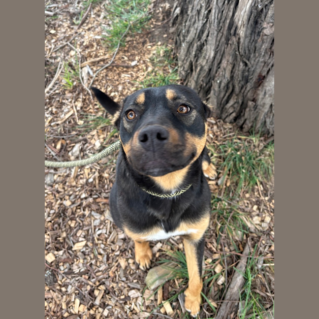 Photo of Missy