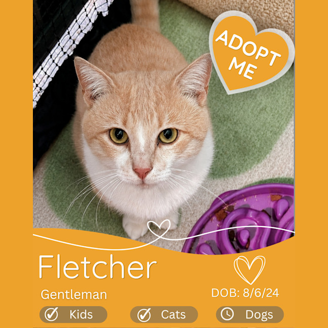 Photo of Fletcher
