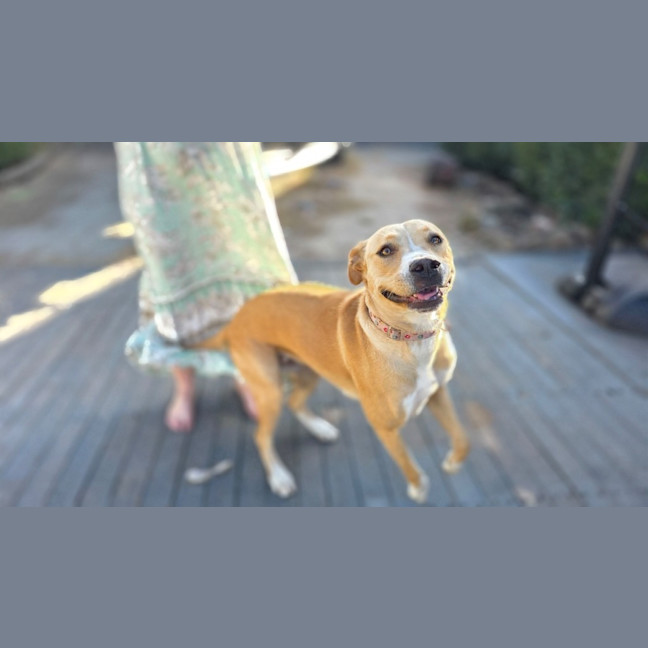 Photo of Cali