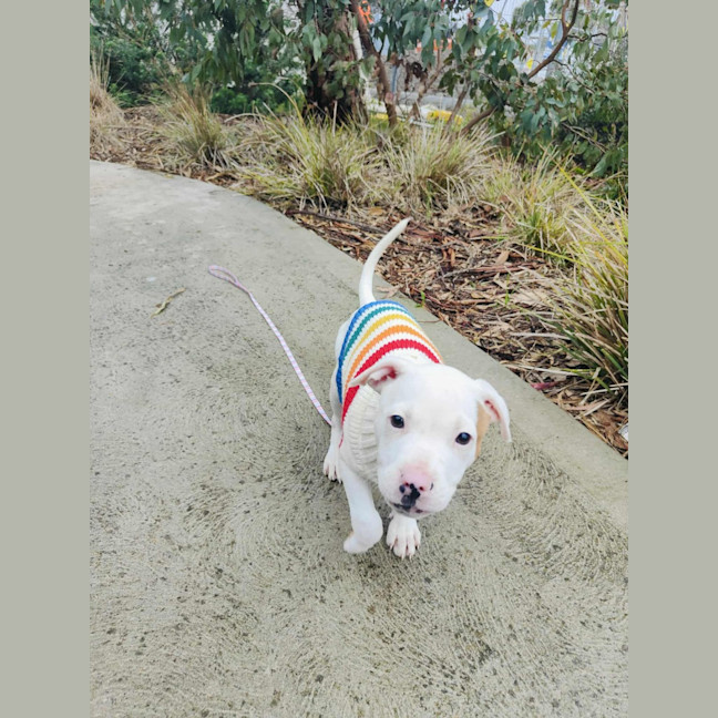 Photo of 🍦 Froyo 6378 🍦 