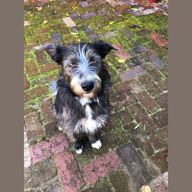 Photo of Winnie