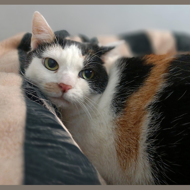 Photo of Mae