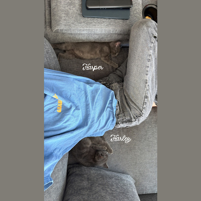 Photo of Harley & Harper