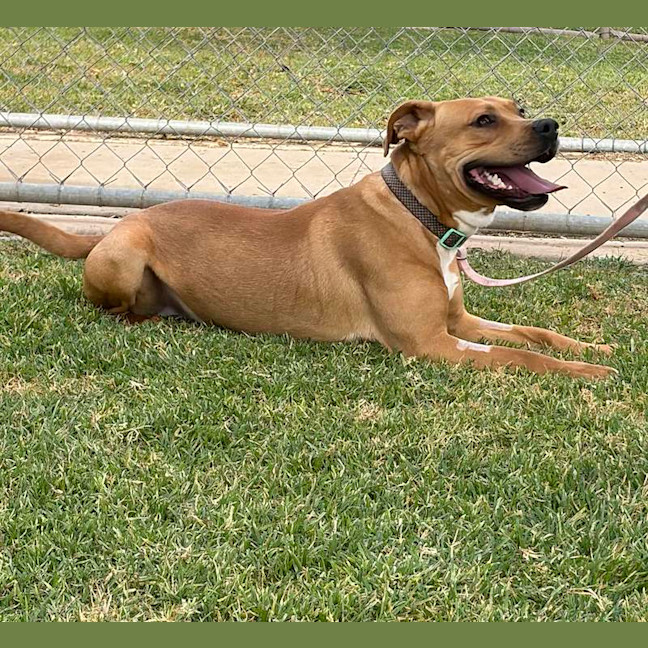 Photo of Lenny