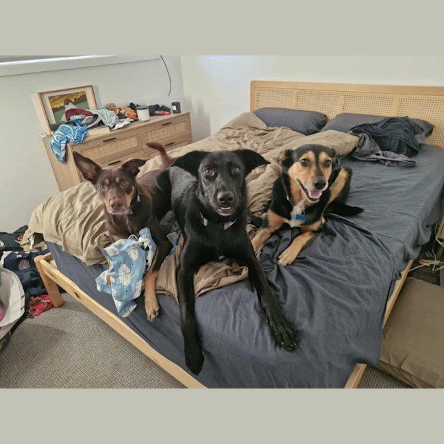 Photo of Max