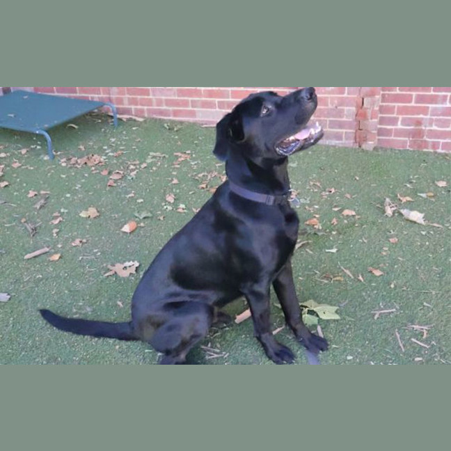 Photo of Murphy