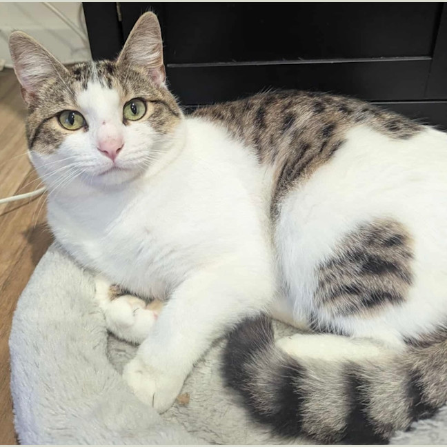 Photo of Miles & Maggie