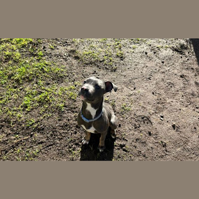 Photo of Winnie