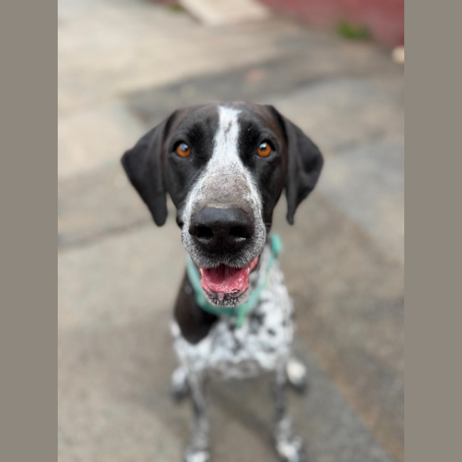 Photo of Lucy