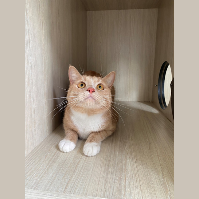 Photo of C1365 Jamie