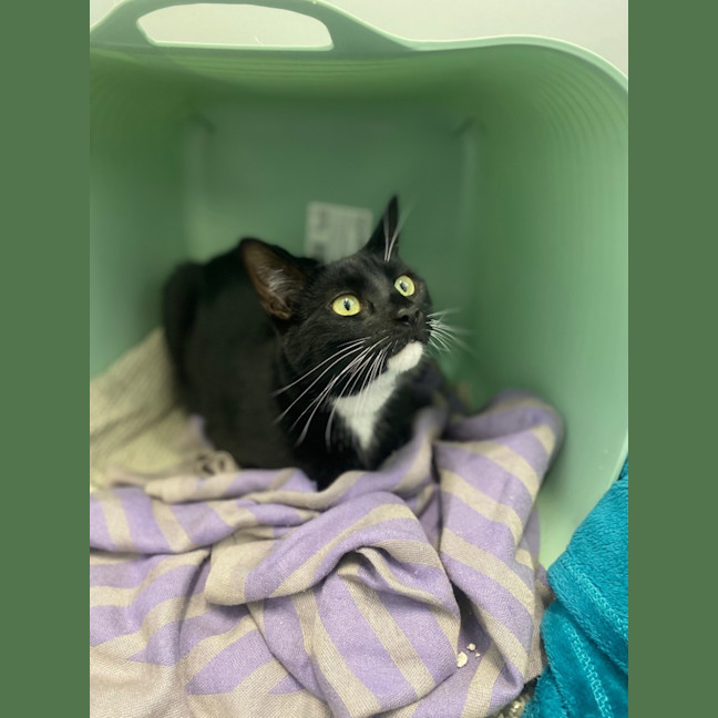 Photo of Cinnamon & Benny