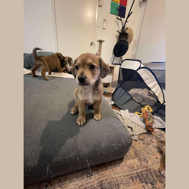 Photo of Maverick