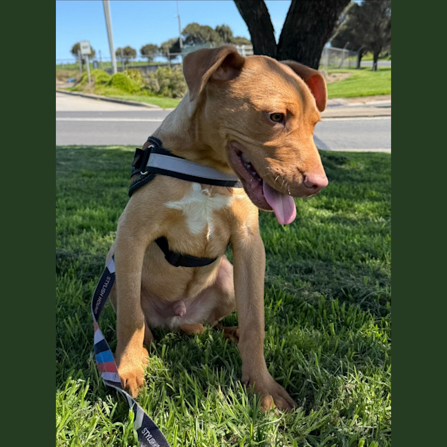 Photo of Benny