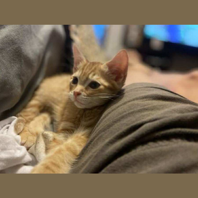 Photo of Dave The Third 