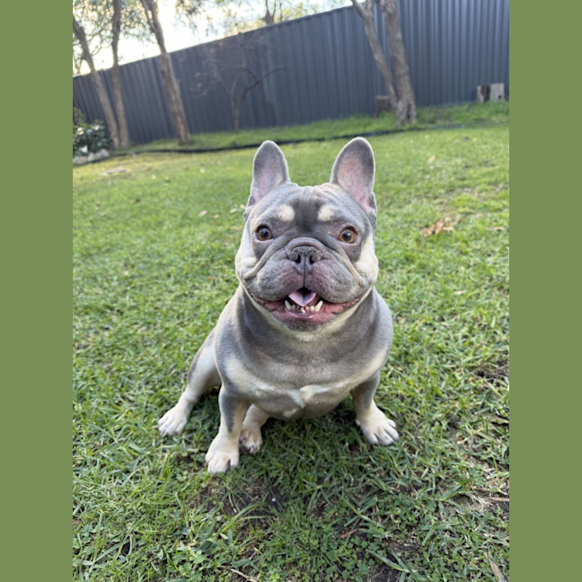 Photo of Peppa