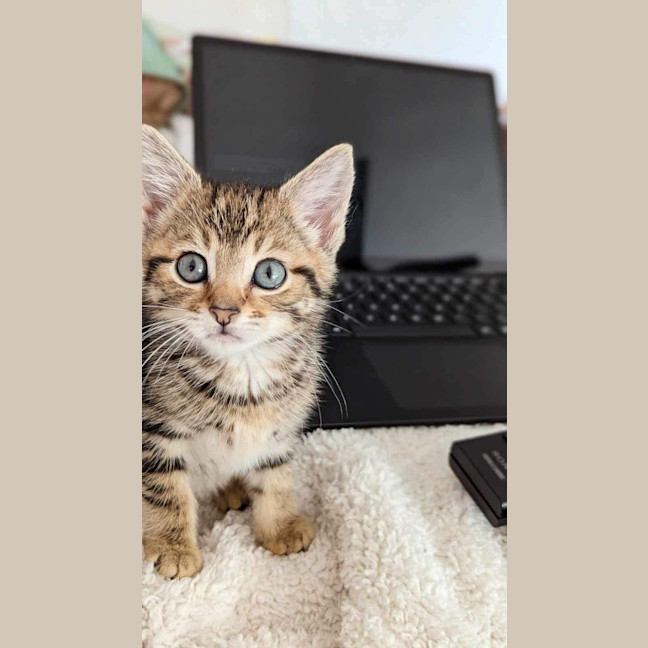 Photo of Miss Business (Bizzy) 