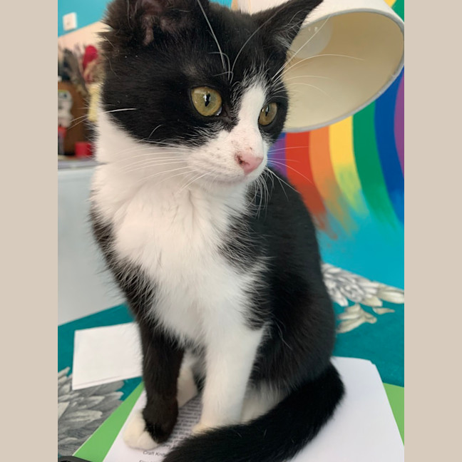 Photo of Maggie