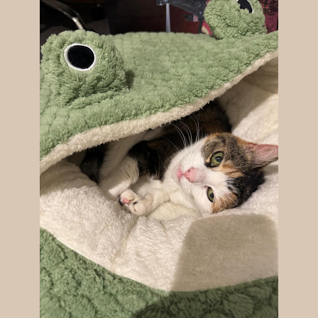 Photo of Amy