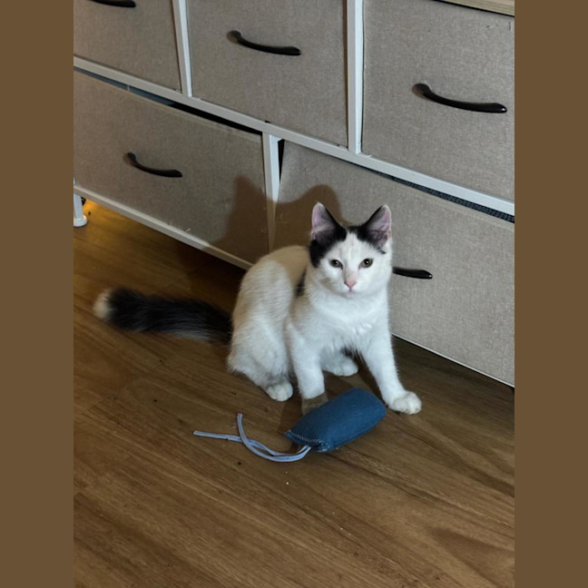 Photo of Hugh And Imogen 