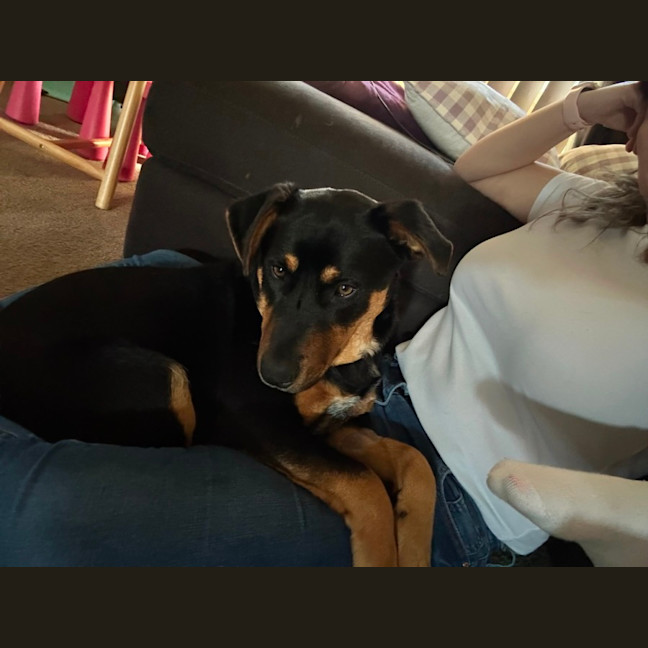 Photo of Louie