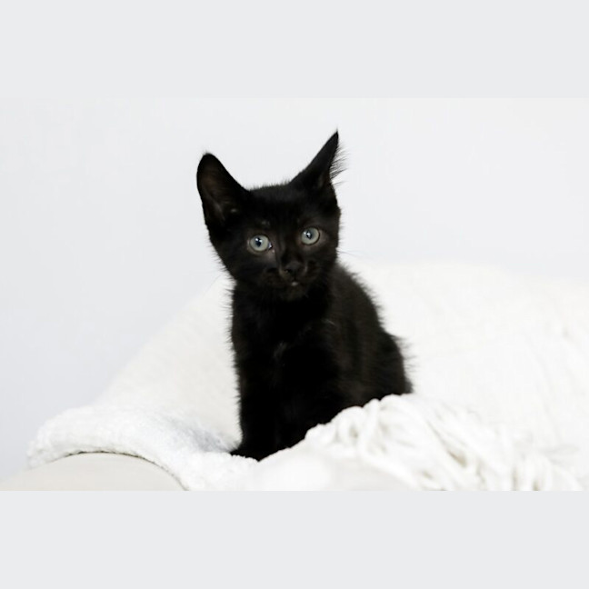 Photo of Zali