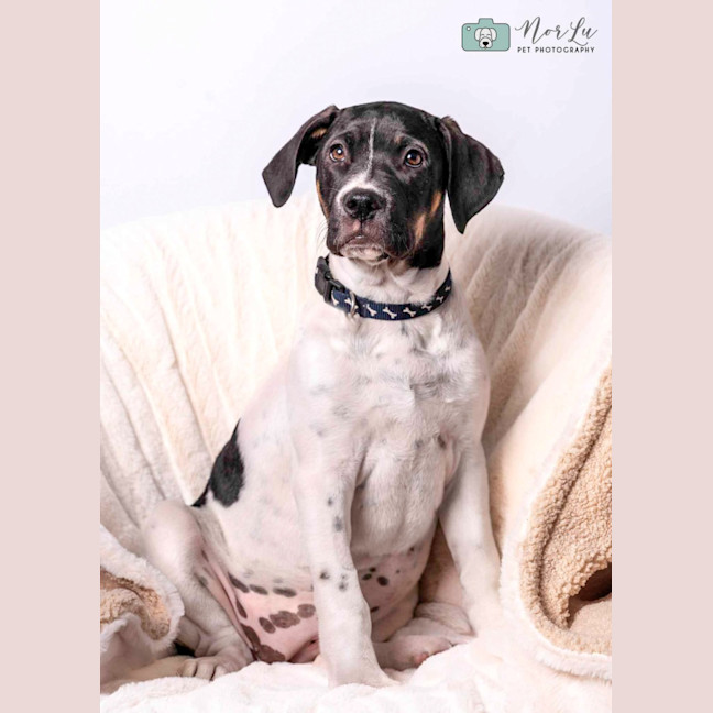 Photo of Margarita (Margi) 