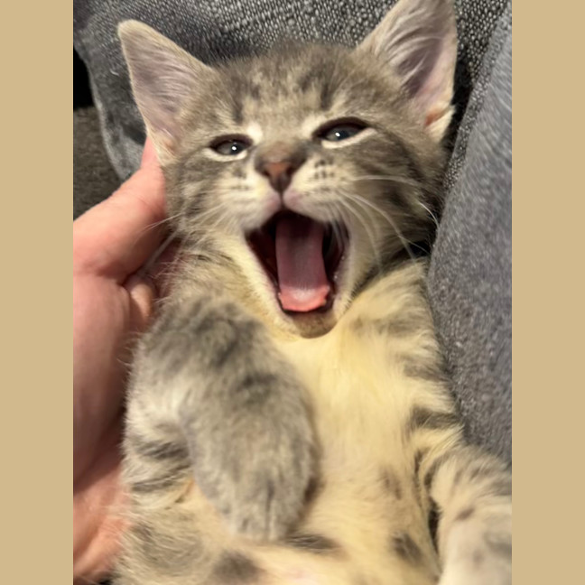 Photo of Freaking Freddie