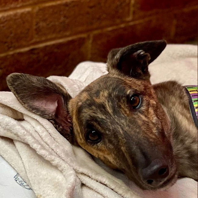 Photo of Mortimer Boris