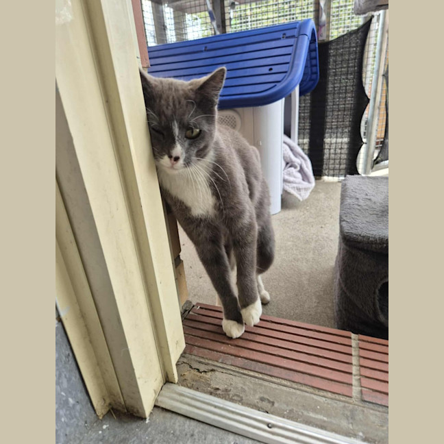 Photo of Mary! 🕊️