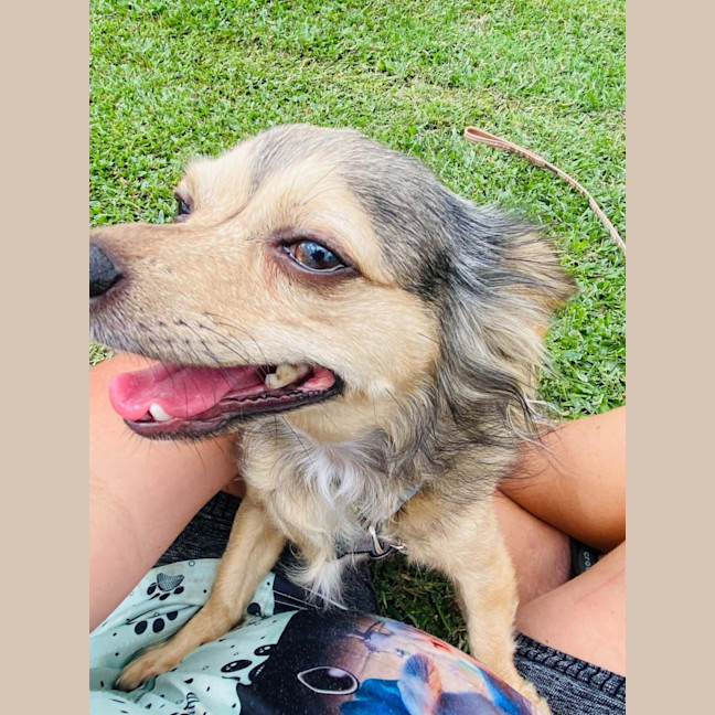Photo of Lola
