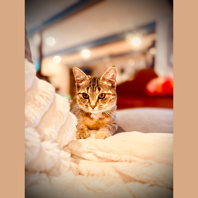 Photo of Lucky