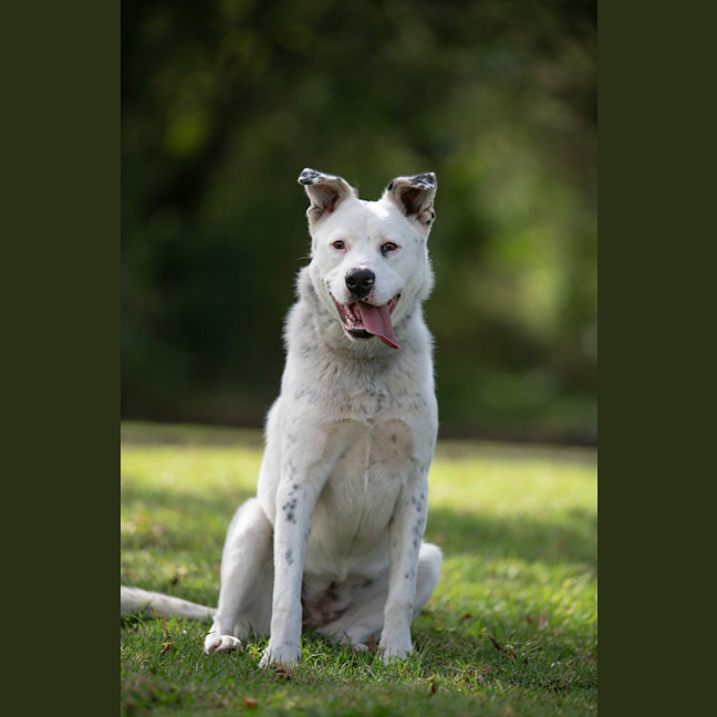 Photo of Breeze