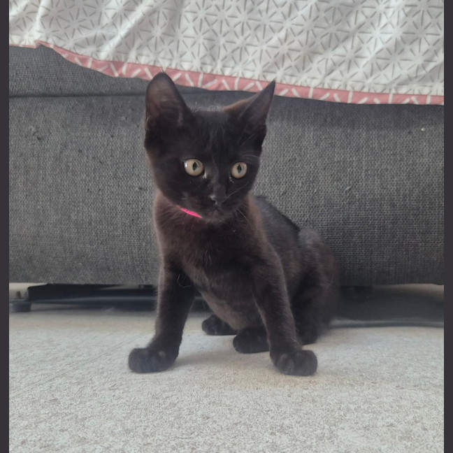 Photo of Mary (9202)