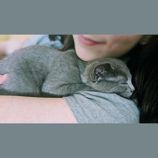 Photo of Ruby ♥️♥️♥️♥️♥️