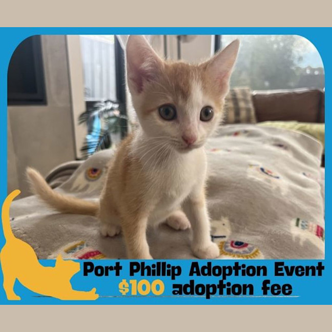 Photo of Anderdingus