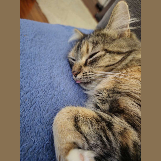 Photo of Samara Mae 