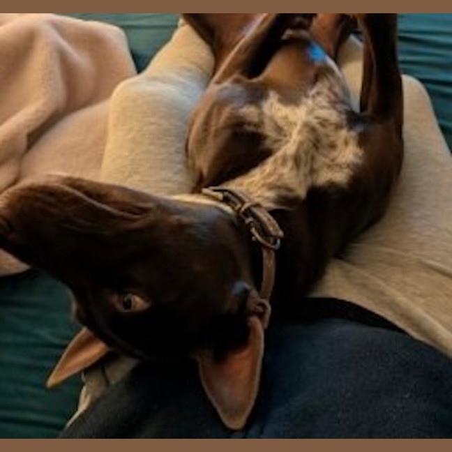 Photo of Max