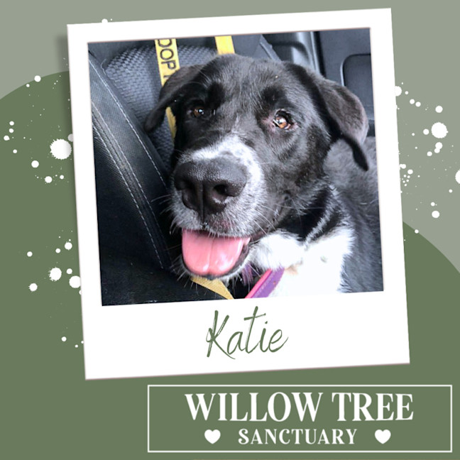 Photo of Katie